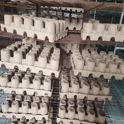 ������Ʒ���b